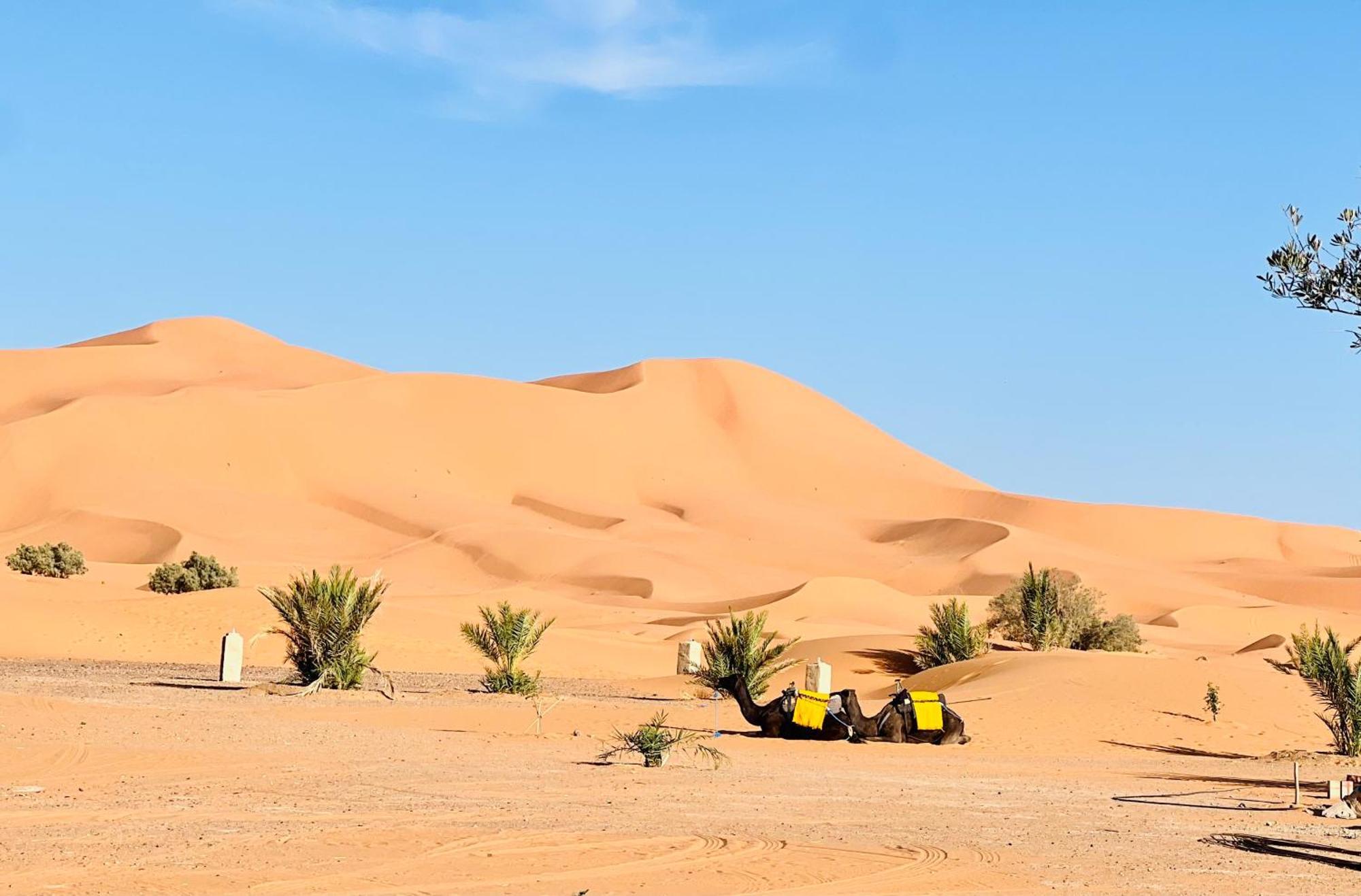 Hotel Camping Les Roses Des Dunes & Piscine Merzouga Exterior foto
