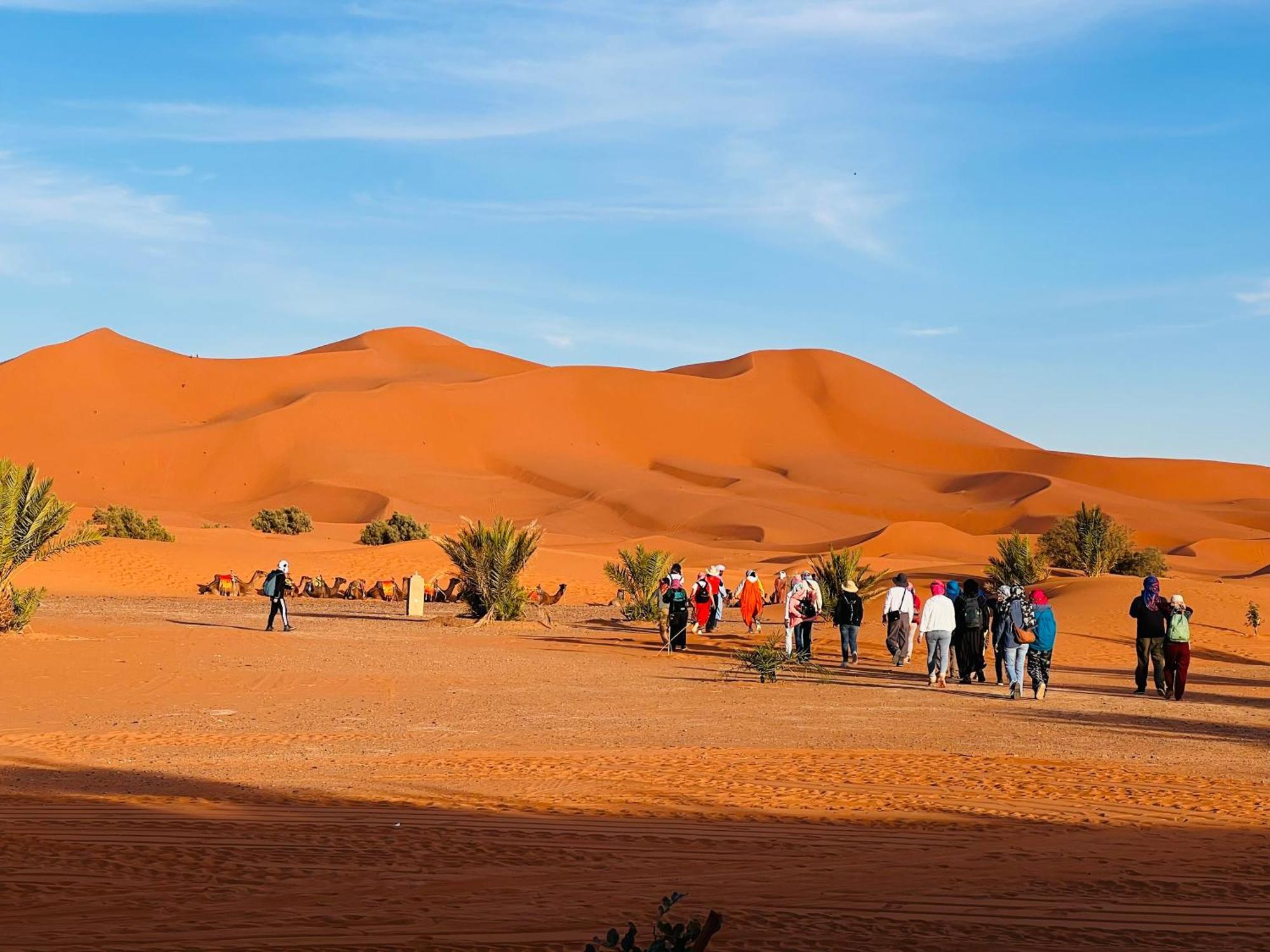 Hotel Camping Les Roses Des Dunes & Piscine Merzouga Exterior foto